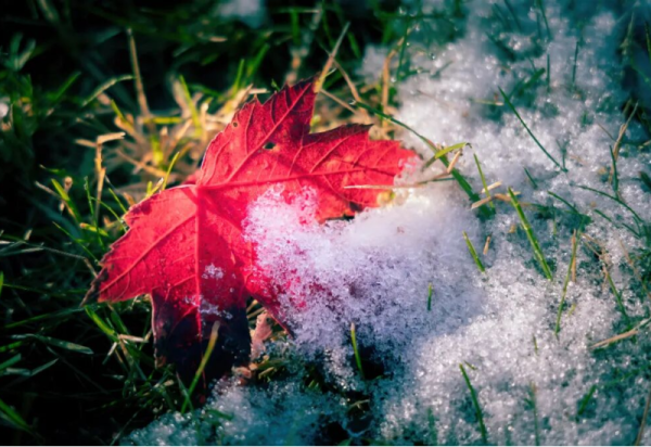 “齐迹”临门！看齐迹2025巡回演唱会，享梦幻冰雪馆168元专属福利！