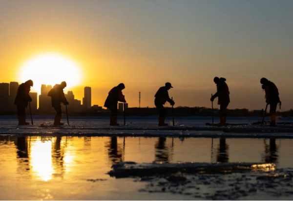 松花江采冰全面启动 第二十七届哈尔滨冰雪大世界园区建设已完成70%