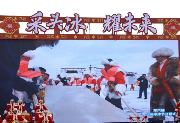 【新华社】特写：“尔滨”的火热，从采冰开始