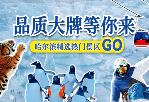 重磅！哈尔滨冰雪大世界官方商城“解锁”全城热玩，一票畅游不踩坑！