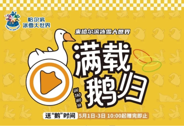 “五一”来哈尔滨冰雪大世界第二届风筝节 满载“鹅”归